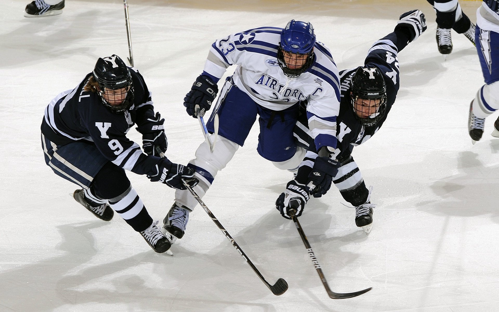 九游-新闻中心成功举办校企合作研讨会，校企合作研讨会主持词