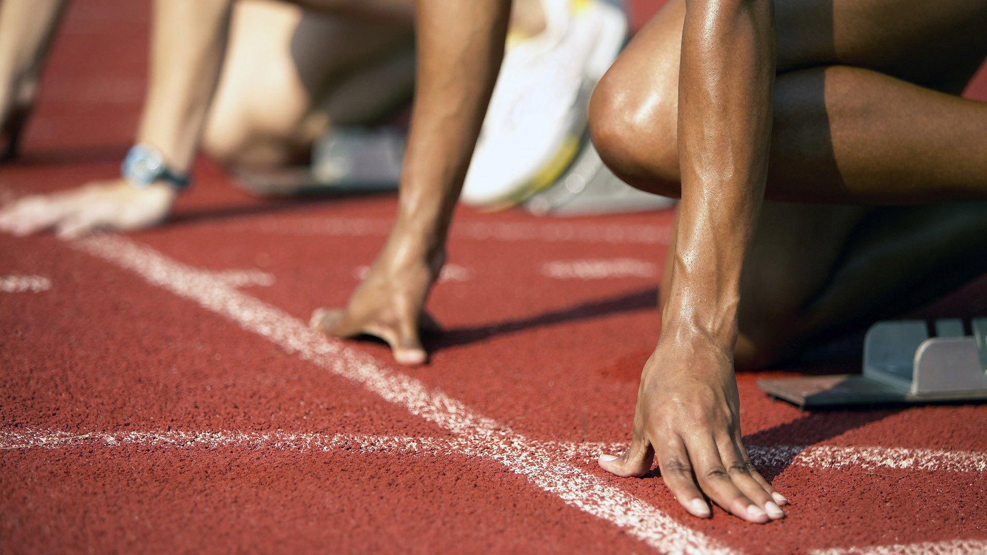 “绿色生态场馆+智能管理”成为行业新标配，行业基础更牢固，绿色生态长廊什么意思