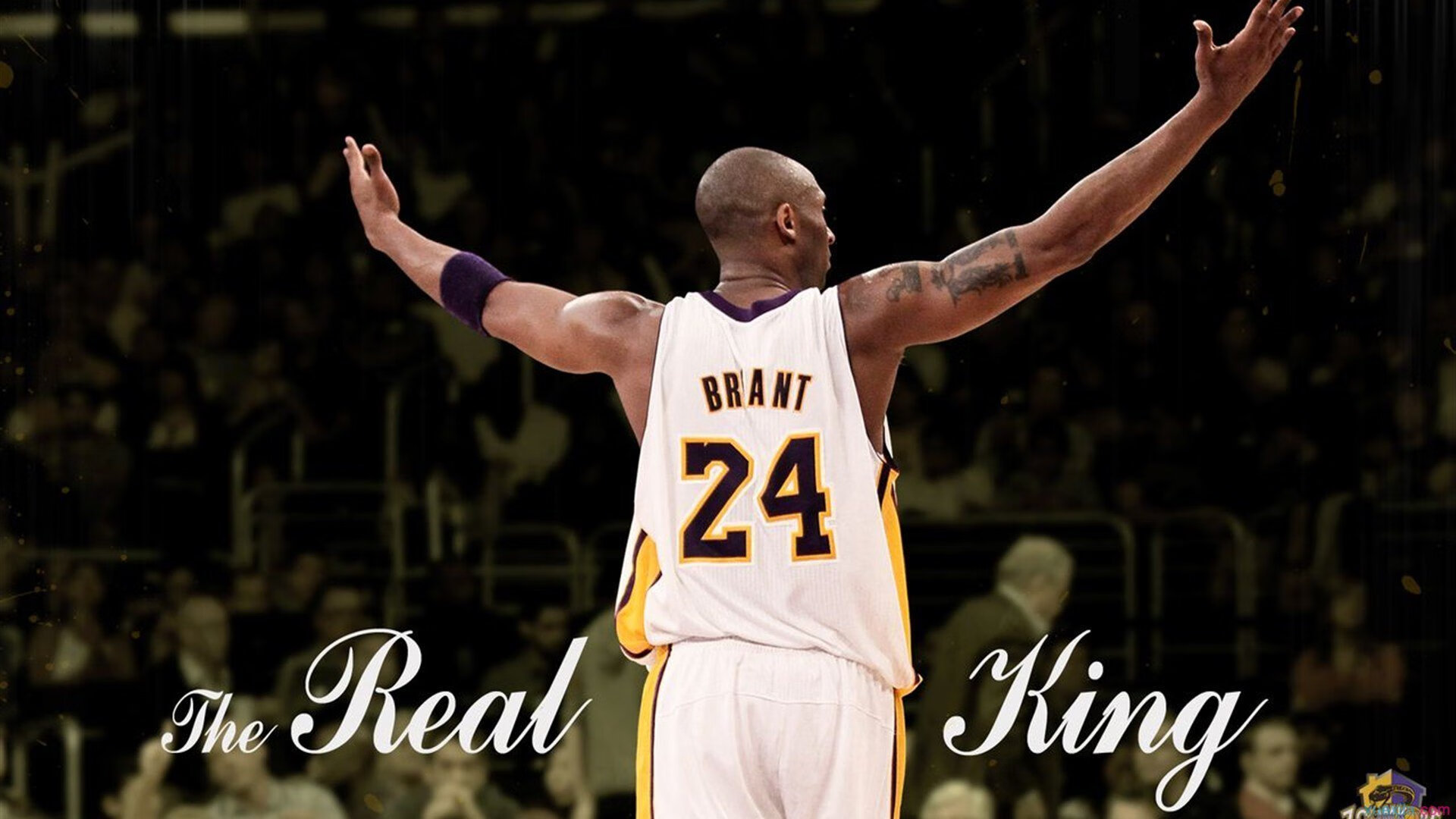 【国际赛事盘点】举办地、参赛亮点和冠军归属，举办过国际赛事的城市